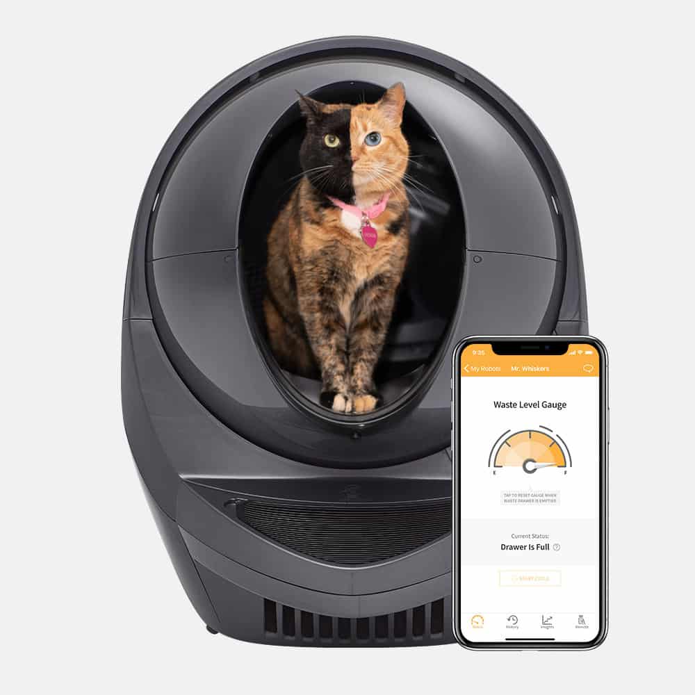 orange and black cat standing in opening of Litter Robot