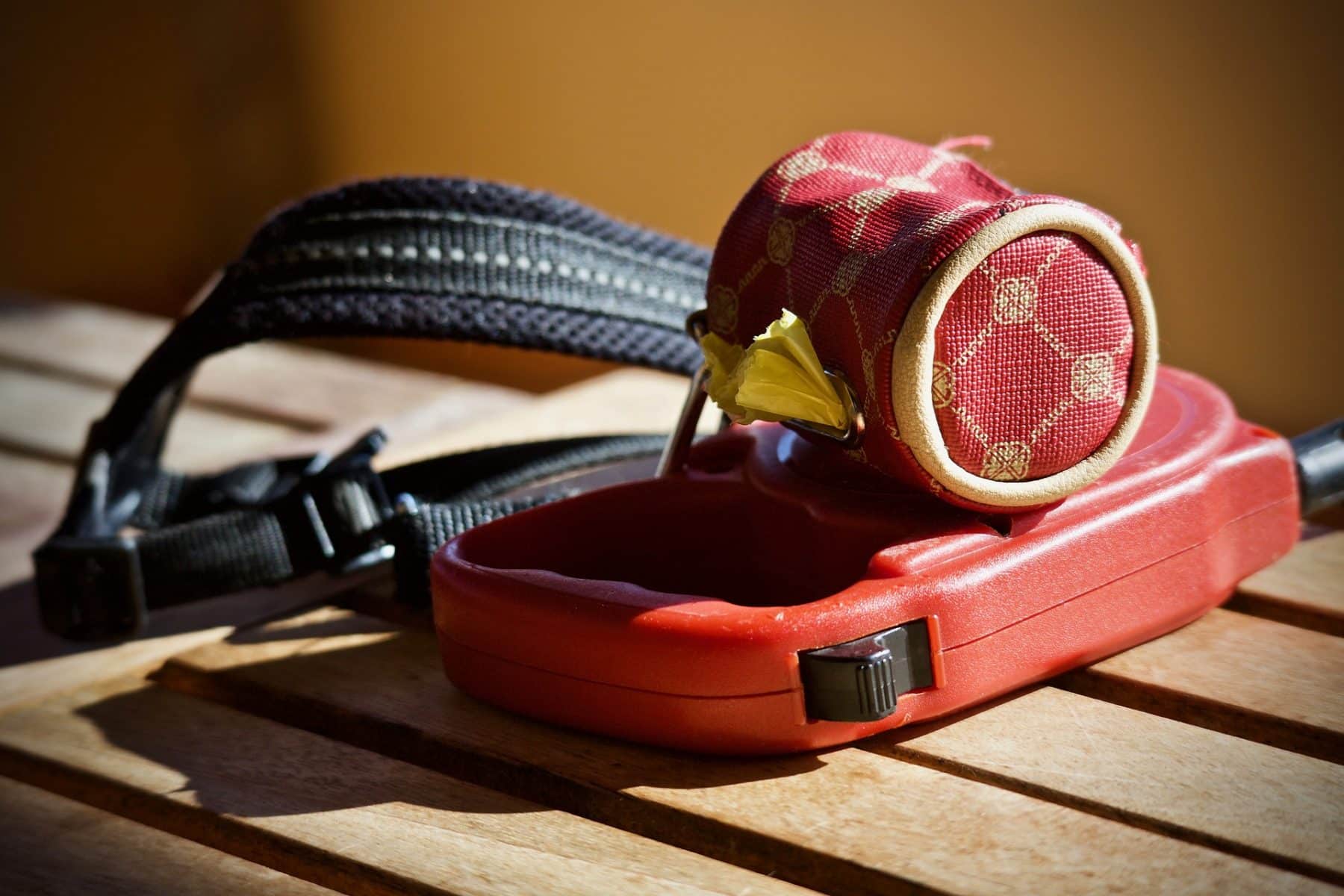 Why Are Retractable Leashes Bad? Experts Break Down the Dangers