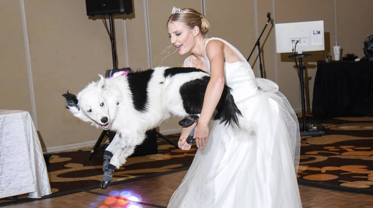 Bride Wows Wedding Guests with Epic 