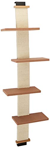 cool cat climbing towers