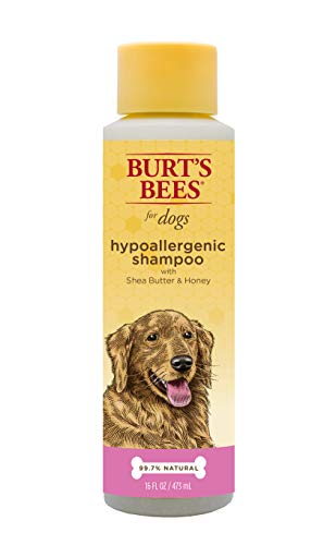 hypoallergenic dog shampoo for humans