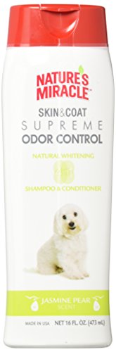 8 Best Whitening Dog Shampoos to Keep 