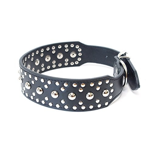 steel and leather bling dog collar
