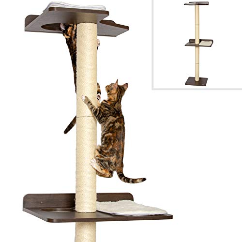 19 Modern Cat Trees To Immediately The Dog People By Rover 19 Modern Cat Trees To Immediately