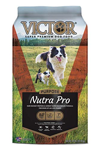 Victor Nutra Pro Australian Shepherd food