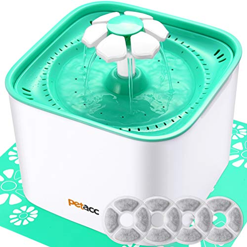 12 Dog Water Fountains The Best Dog Water Fountains for Your Pup