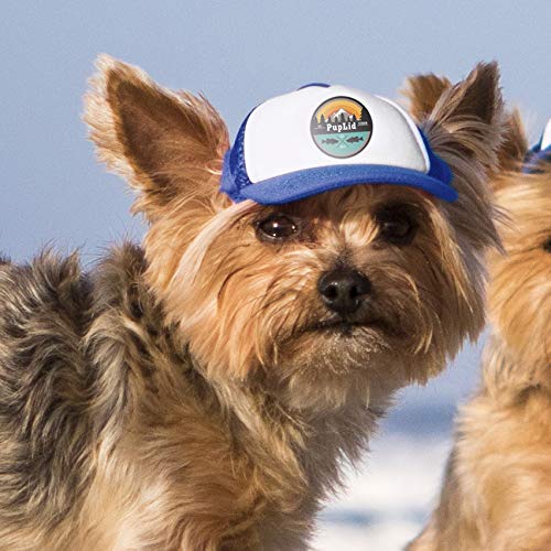 Dog Visors: Should My Dog Wear a Hat 