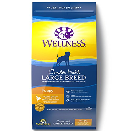 bag of Wellness Complete large-breed puppy food