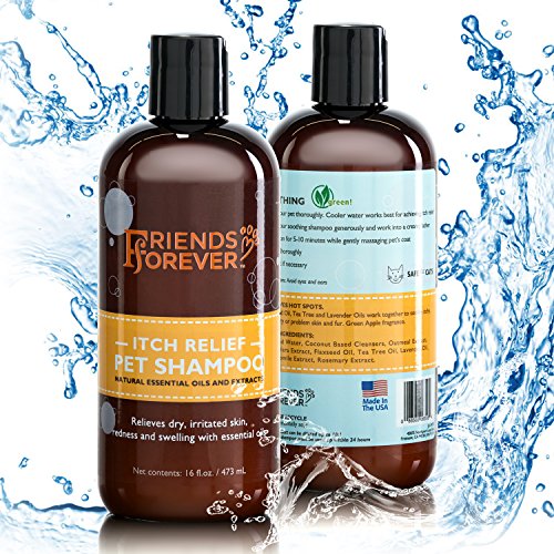 Best Dog Shampoos for Sensitive Skin