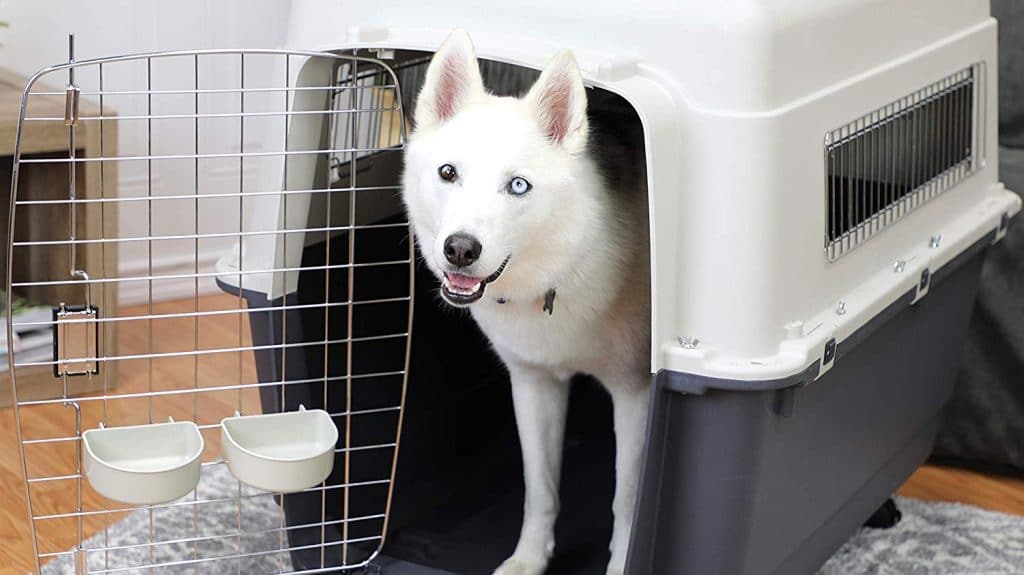 extra large plastic dog kennel