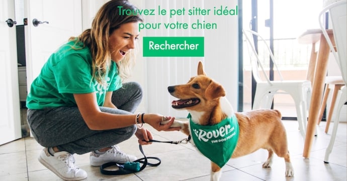 Rover votre dog sitter idéal