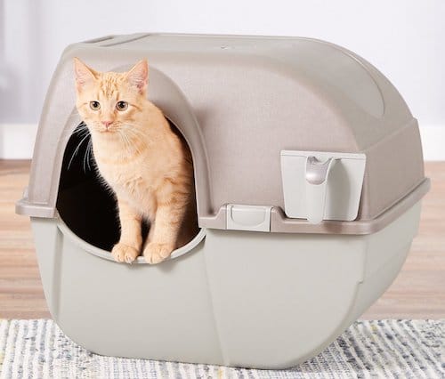 next gen automatic cat potty