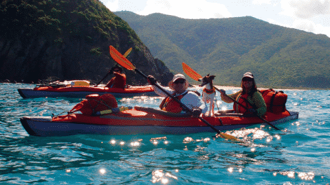 How to Kayak with Your Dog