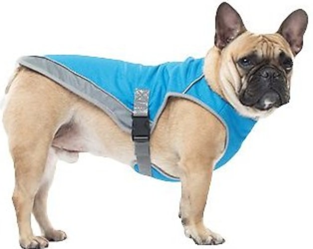 Dog Cooling Vests The Best Dog Cooling Vests to Beat the Summer Heat