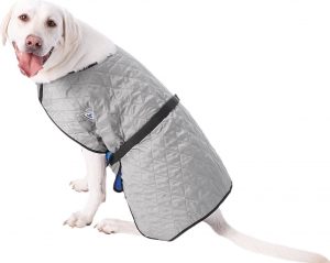cooling gear for dogs