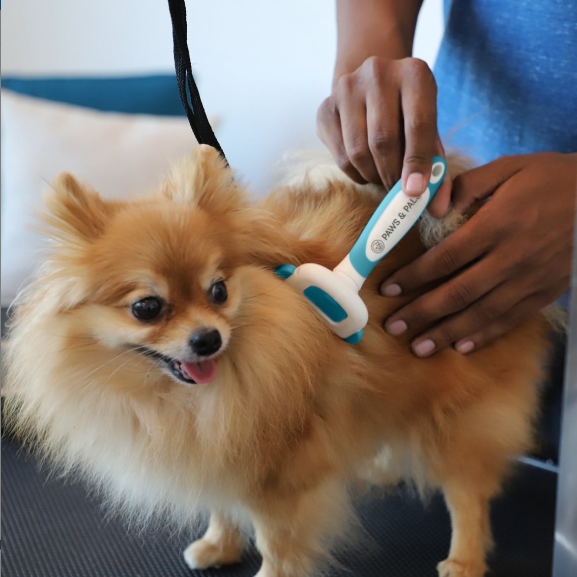 Dog Brushes for Shedding 14 Best Dog Brushes for Shedding