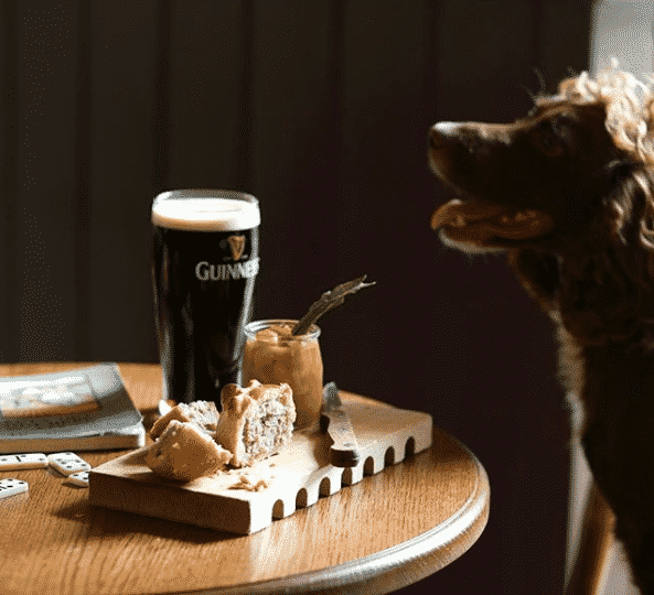 Dog Friendly Pubs In Wiltshire