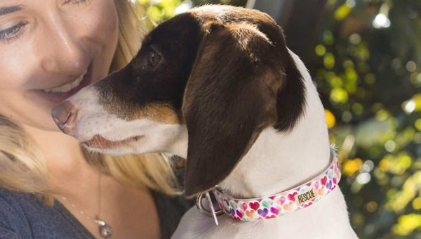 dog with colorful heart-print collar with woman