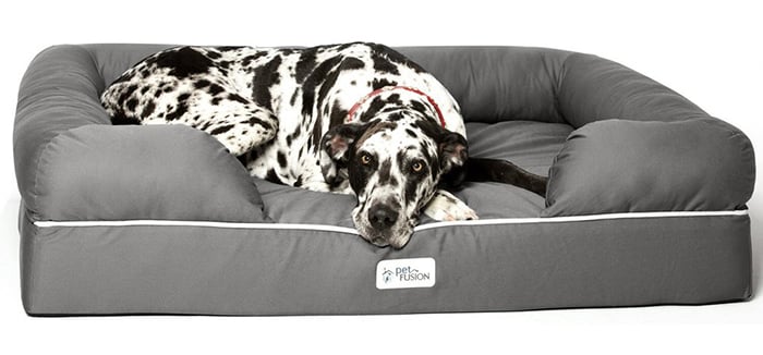 harlequin Great Dane in gray PetFusion dog bed