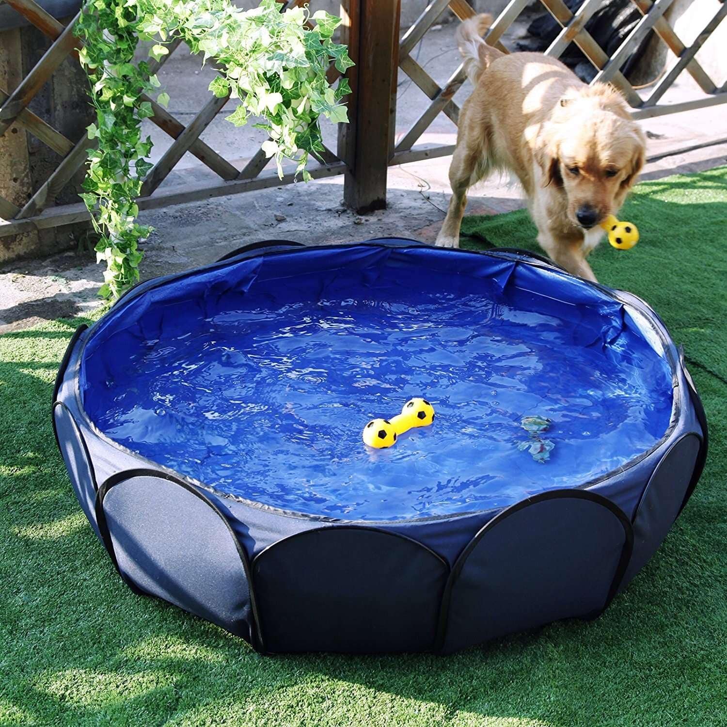 10 Best Dog Pools to Keep Your Pet Cool This Summer (Updated)