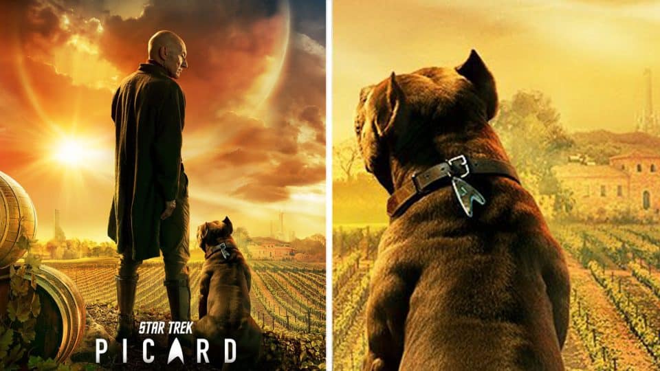 Captain Picard/'s dog/'s collar