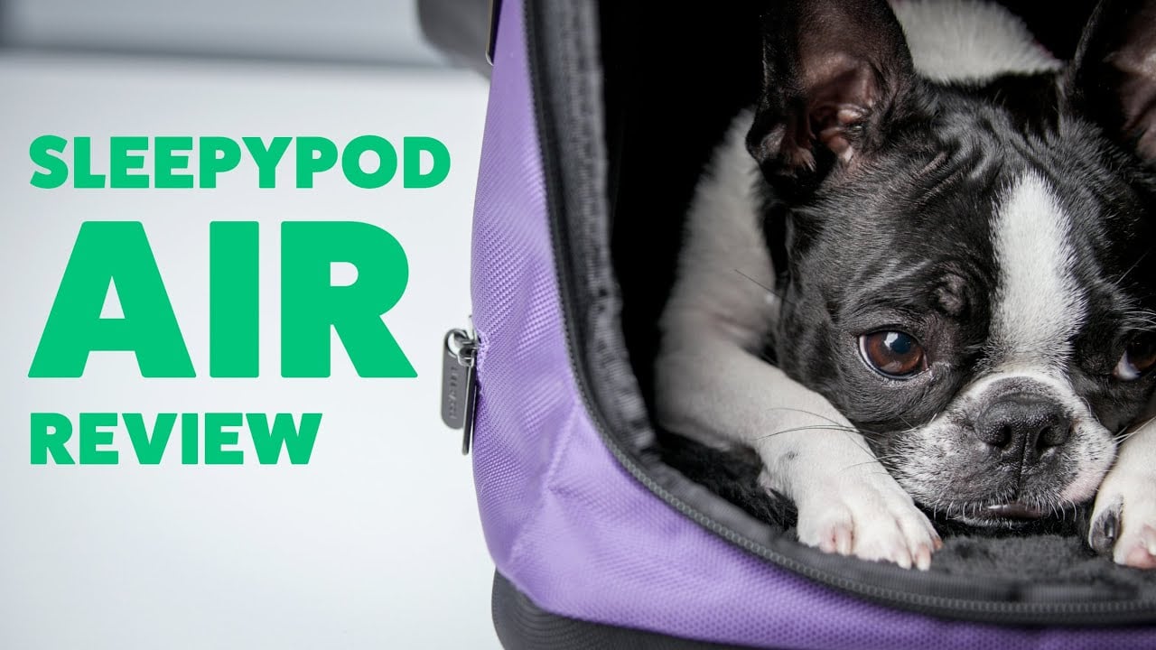 SleepyPod AIR Video Review The Dog People