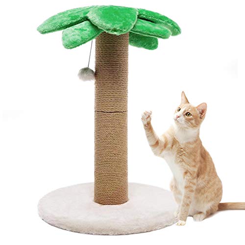 21 Best Cat Scratching Posts Tall, Short, Leaning & More