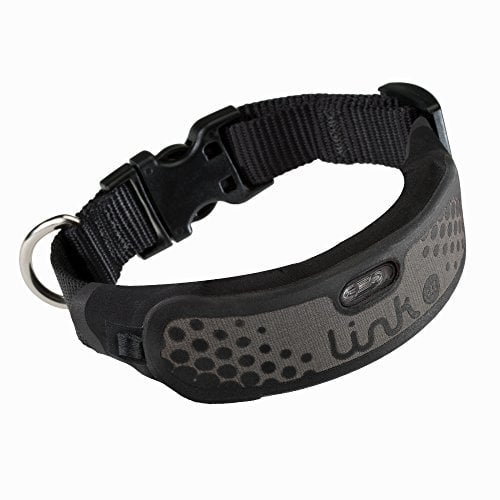 Link AKC Plus Sport GPS and activity monitor high-tech pet collar  