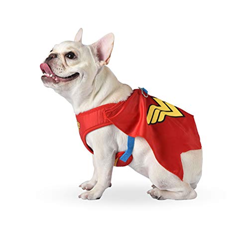 14 Small Dog Costumes and Ideas for Halloween 2020