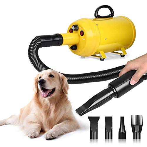 The 10 Best Blow Dryers for Dogs: Quiet 