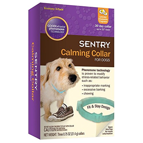 over the counter meds for dogs with anxiety