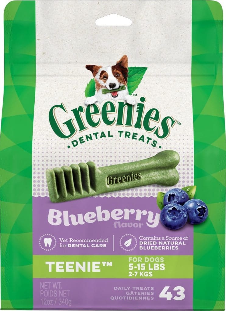 The Best 12 Dog Toothpastes for Clean Teeth and Healthy Gums Dogs