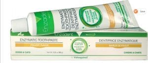 tube of Vetoquinol Enzadent