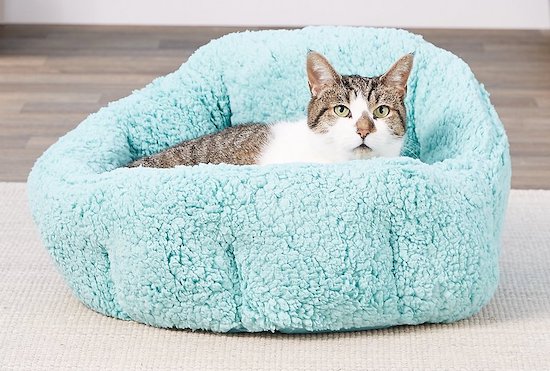 cat in light blue Deep Dish cuddler