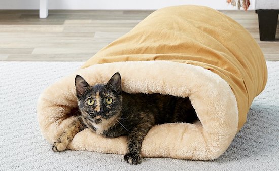 Pet Magasin convertible bed