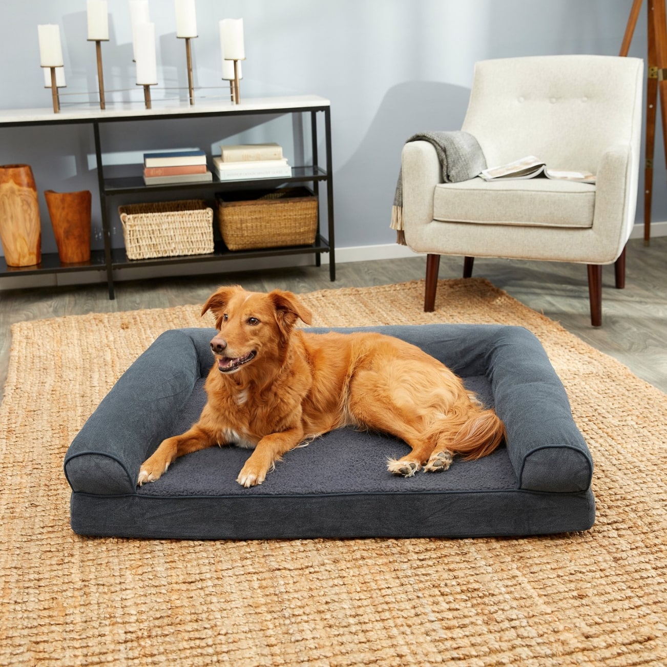 Cheap Dog Beds 15 Beds that Won't Break the Bank