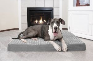 Furhaven deluxe orthopedic dog bed