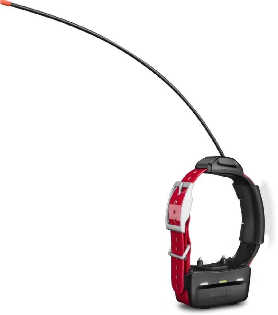 Dog GPS Collar The 10 Best Collar Tracking Devices For Your Dog