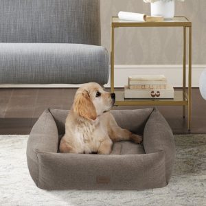 Wayfair Martha Stewart bolster cheap dog bed