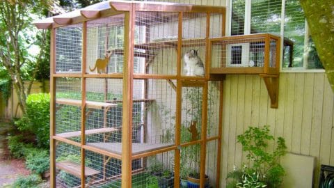 wooden catio