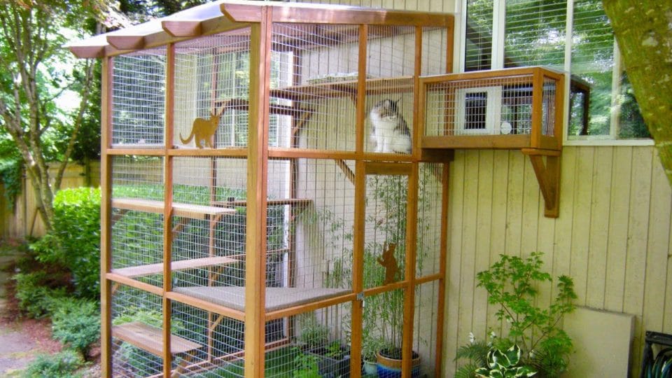 Or Make Your Own Outdoor Cat Enclosure, Outdoor Enclosures For Cats