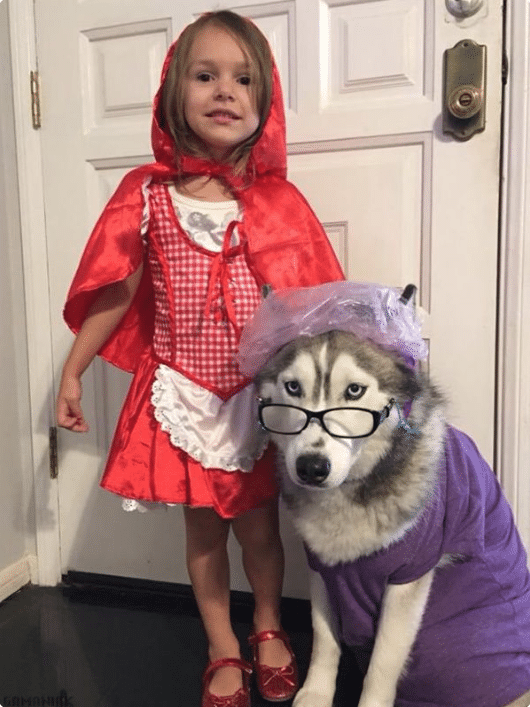 fille et chien déguisé pour halloween