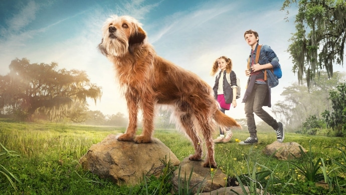 22 películas perros que te llenarán de amor | The Dog People by