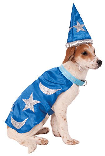 easy wizard dog costume