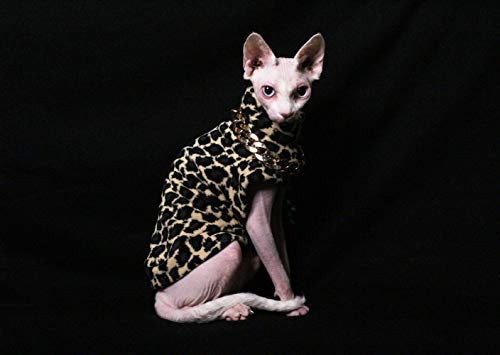 hairless cat wearing leopard-print sweater