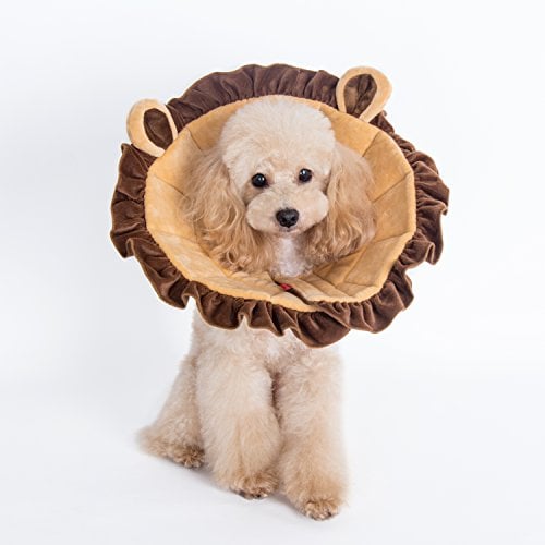 Alfie pet lion-style recovery collar