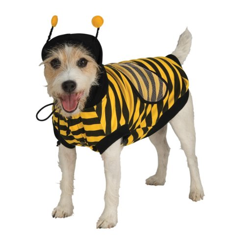 dog dressed as bee for matching dog and owner costume set