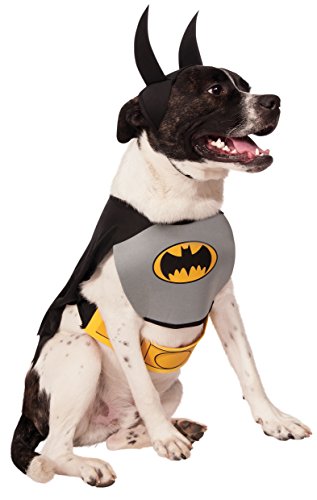 dog dressed as Batman