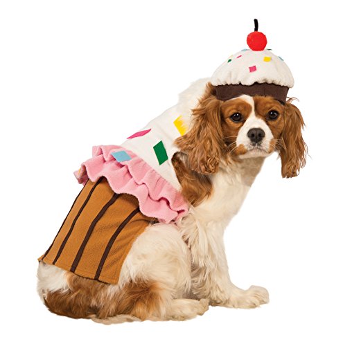 dog dressed in cupcake costume matching owner
