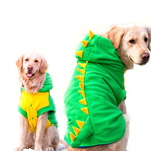 dog wearing dino sweatshirt